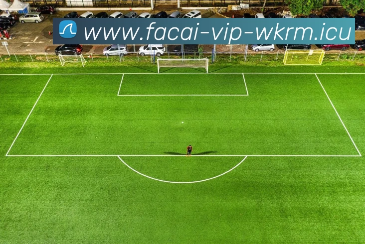 App Interface Preview