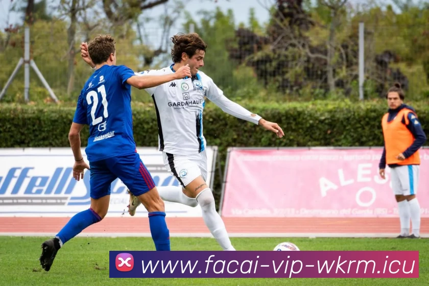 数据防护可视化